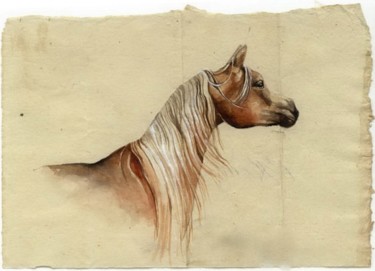 Horse study 2