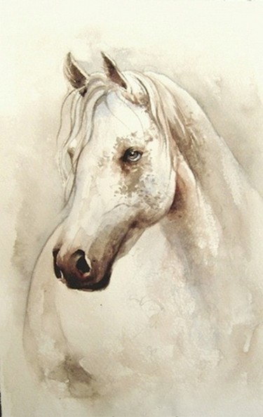 Horse study